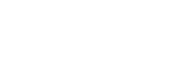 ProTrader Logo W